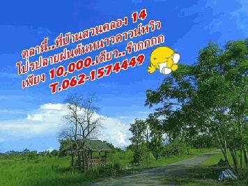 ฟาดอีกครั้งโปรปลายฝนต้นหนาวดาวน์เบาหวิว T.062-1574449 ที่ดินบ้านสวนคลอง14